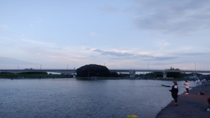 DSCF7984
