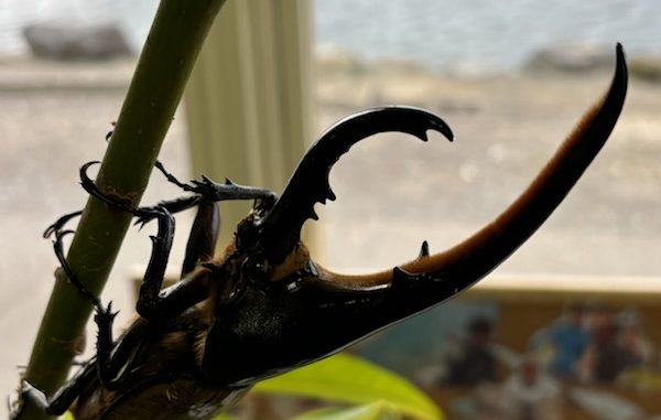 IMG_1635
